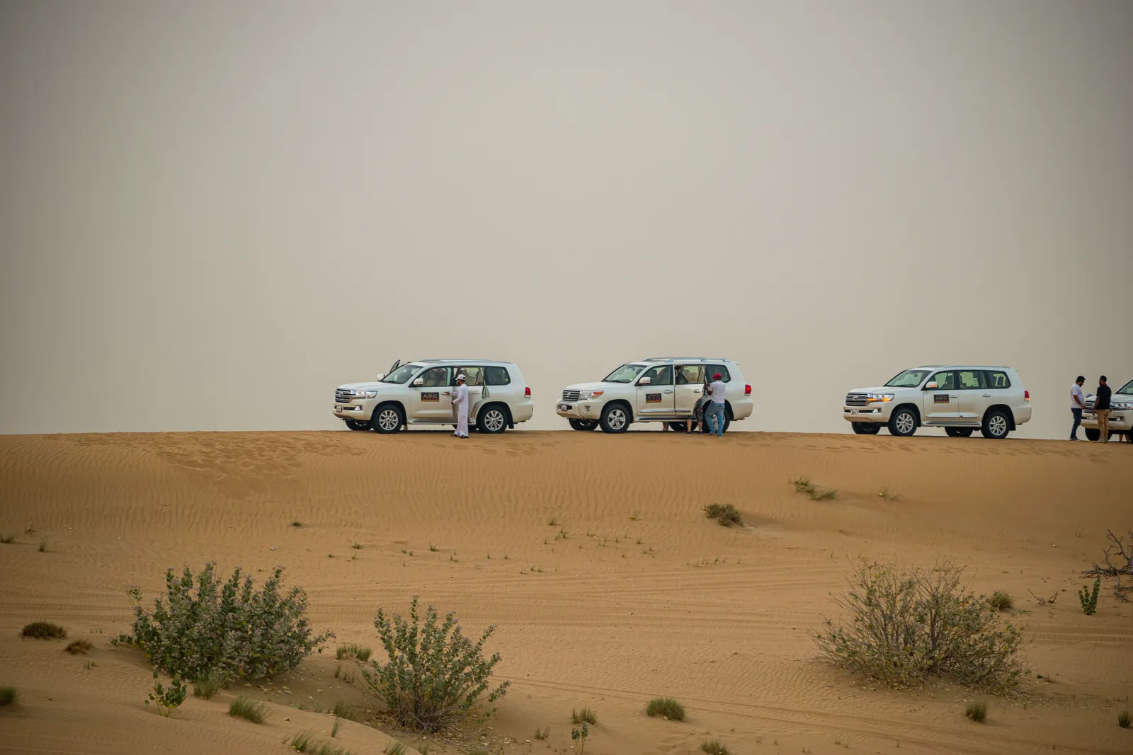 Best Desert Safari in UAE 2026: Dubai vs Abu Dhabi & What to Expect